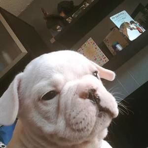 Meet your Posher, Jenna